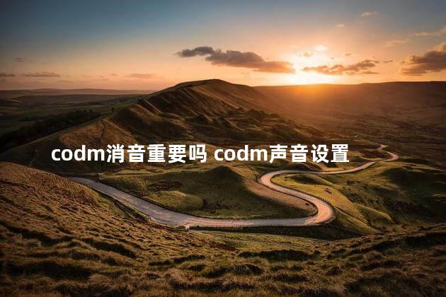 codm消音重要吗 codm声音设置